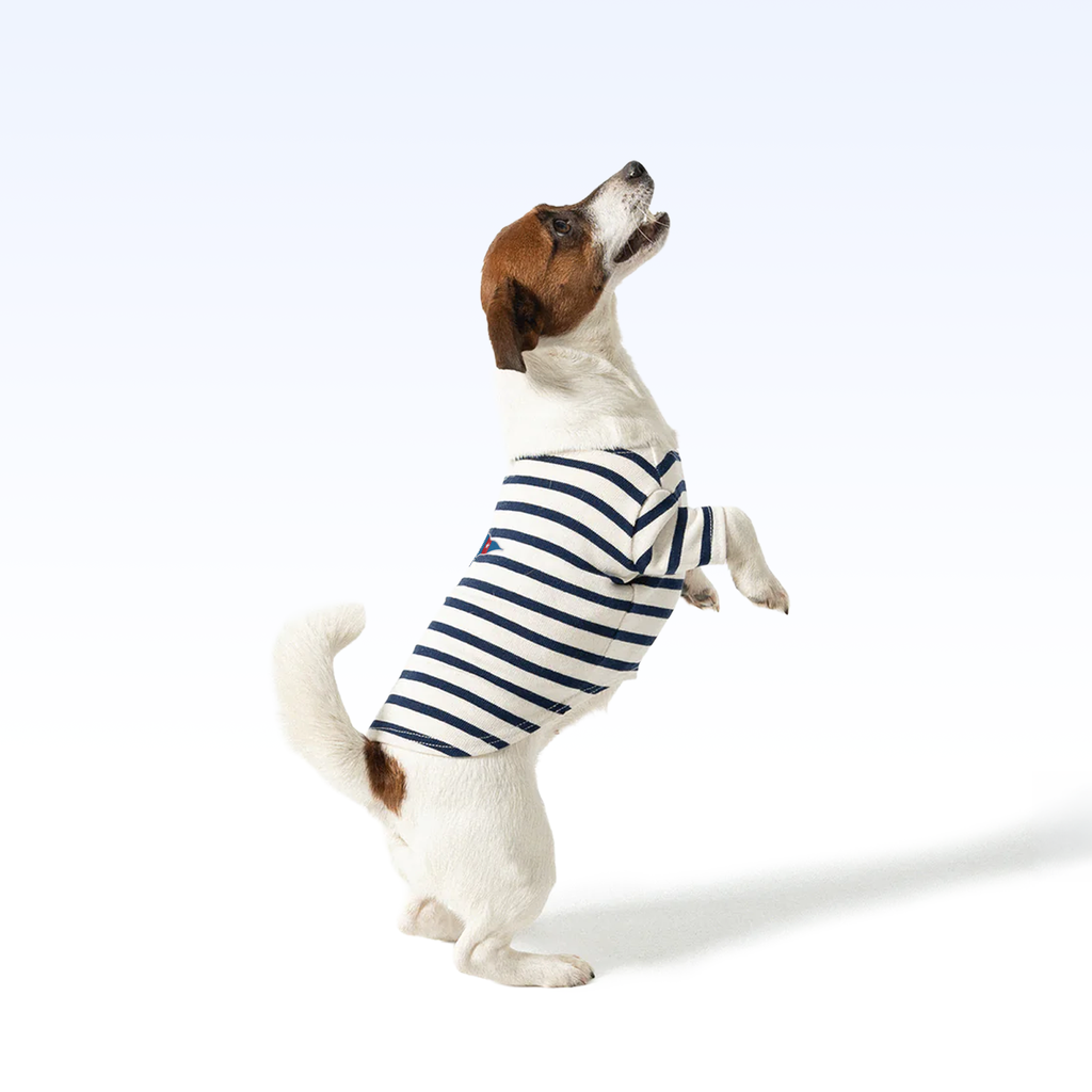 MBC_PARISIAN PUP SHIRT